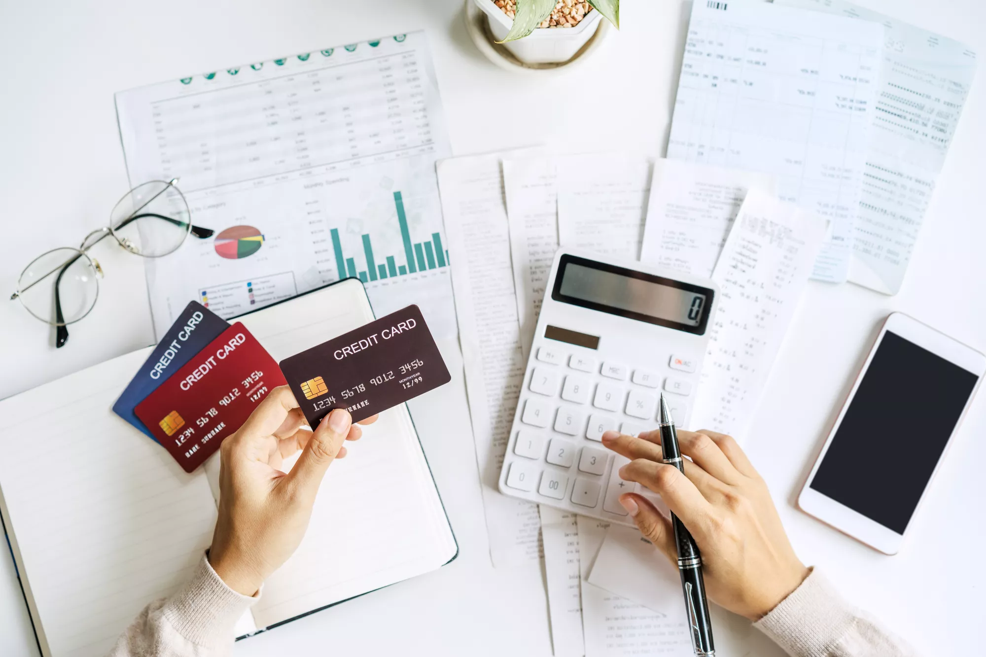 What Are Chargeback Terms?