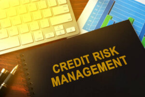 Credit Risk Management Automation: Enhancing Efficiency and Reducing Financial Risk