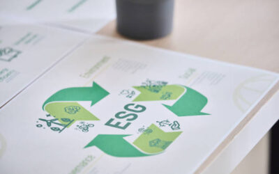 Sustainability Metrics in Finance: Building the ESG Data Foundation